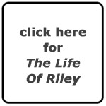 Jeffrey Frye's The Life of Riley